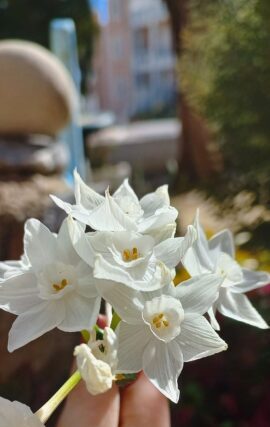 Να είσαι απλά ο «παρατηρητής» … Απο την Μαργιαννα Καρακωστα