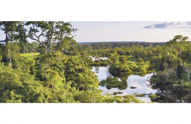 Είναι τα φυτοφάρμακα και τα λιπάσματα αυτά που καταστρέφουν τη βιοποικιλότητα;