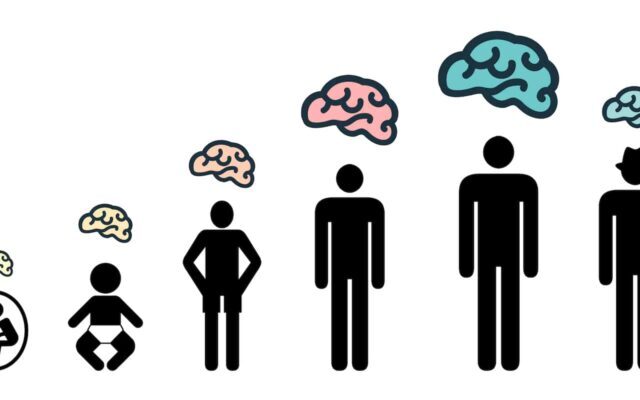 Πως τα τεστ του δημοτικού αποκαλύπτουν τη γνωστική υγεία μακροπρόθεσμα &τρόποι ενίσχυσης