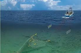 Τι σημαινει βιωσιμη αλιεια και γιατι ειναι τοσο σημαντικη;