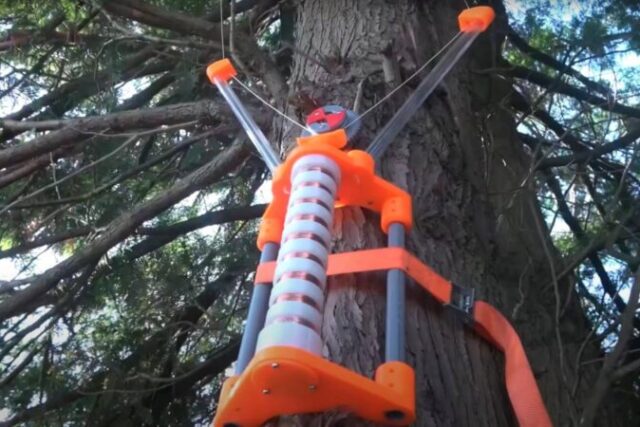 Η ανακάλυψη που τα αλλάζει όλα -Τα δέντρα παράγουν ηλεκτρική ενέργεια