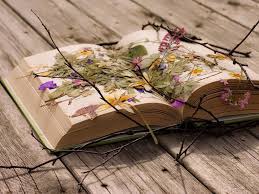 Ο Φλεβάρης των φλεβών – Ο κούντουρον έν ́ λειφτός ….. Απο την Παναγιώτα Ιωακειμίδου