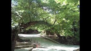 Μεγάλος Βάλτος