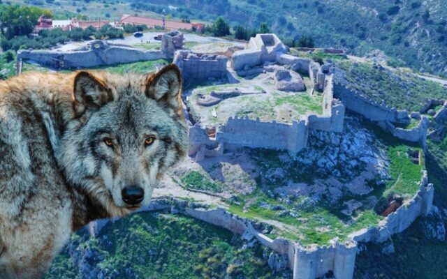 Το Κάστρο του Άργους και ο Λύκος: Γιατί το ονόμασαν Λάρισα και τι συμβολίζει το άγριο ζώο για την πόλη