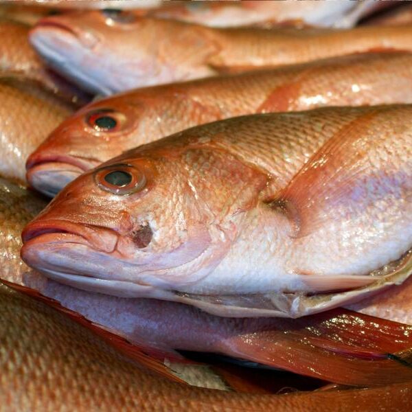 Αυτό είναι το Νο1 υγιεινό ψάρι για ισορροπημένη διατροφή και υγεία