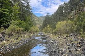 Ο Αώος σε κίνδυνο… Το ποτάμι στερεύει από την απουσία οικολογικής παροχής