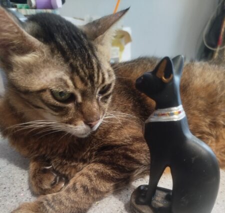 Μπάστ , η αρχαία Αιγυπτιακή Θεά γάτα – Απο τον Στελιο Ταντουρη