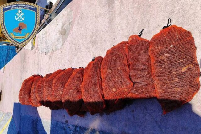 Σκιάθος: Ψάρεψαν παράνομα 2.600 αχινούς