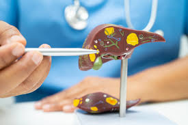 Πώς διαλύουμε το λίπος στο συκώτι;