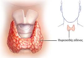 Όσα πρέπει να γνωρίζετε για τον ενδοκρινή αδένα