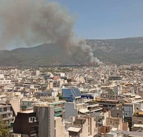 …ΤΑ ΙΔΙΑ ΠΑΝΤΕΛΑΚΗ ΜΟΥ… ΤΑ ΙΔΙΑ ΠΑΝΤΕΛΗ ΜΟΥ. …Γράφει ο Πάνος Καλουδάς.