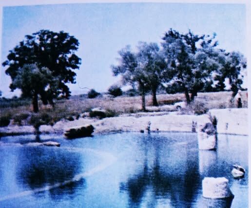 ΣΥΒΑΡΙΣ – Απο την Αρχαιολογο Σοφία Δημητριαδου Κοκκίνου