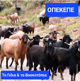 Οι “Μαύροι Κύκνοι” ………. Του Ηλία Γιαννακόπουλου