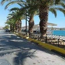 ΣΑΛΑΜΙΝΑ : ΤΟΥΡΙΣΜΟΣ …….. ΚΑΙ …. ΑΡΩΜΑΤΑ !!!!  Απο τον Φιλιππο Καρακωστα 