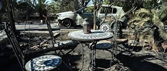 Ποια φυτά στον κήπο μπορούν να σώσουν το σπίτι σας από τη φωτιά