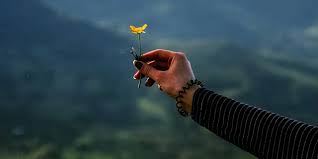 Δεσμεύσεις ………  Απο την Βικτωρία Δικαιοπούλου