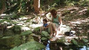 Ενα καταφύγιο για το βλέμμα και τον νου