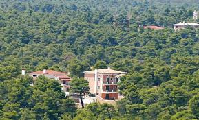 Γιατί να υπάρχουν τακτοποιημένα αυθαίρετα σε δάση;