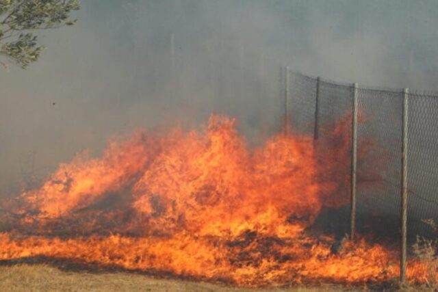 Μυτιλήνη: Ένας 57χρονος ομολόγησε 4 εμπρησμούς – Τι είπε για το κίνητρό του