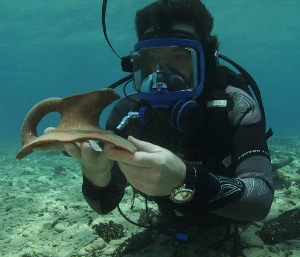 ΠΑΛΑΙΟΠΕΤΡΙ  με την  ΒΥΘΙΣΜΕΝΗ  ΠΡΟΙΣΤΟΡΙΚΗ  ΠΟΛΙΤΕΙΑ – Απο την  Μιράντα Σκηνίτη