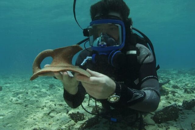 ΠΑΛΑΙΟΠΕΤΡΙ  με την  ΒΥΘΙΣΜΕΝΗ  ΠΡΟΙΣΤΟΡΙΚΗ  ΠΟΛΙΤΕΙΑ – Απο την  Μιράντα Σκηνίτη