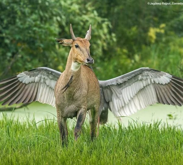 H ΙΣΤΟΡΙΑ ΠΙΣΩ ΑΠΟ ΜΙΑ ΕΙΚΟΝΑ…!