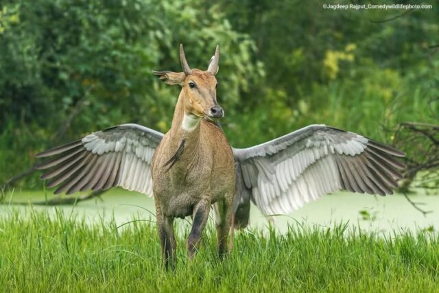 H ΙΣΤΟΡΙΑ ΠΙΣΩ ΑΠΟ ΜΙΑ ΕΙΚΟΝΑ…!