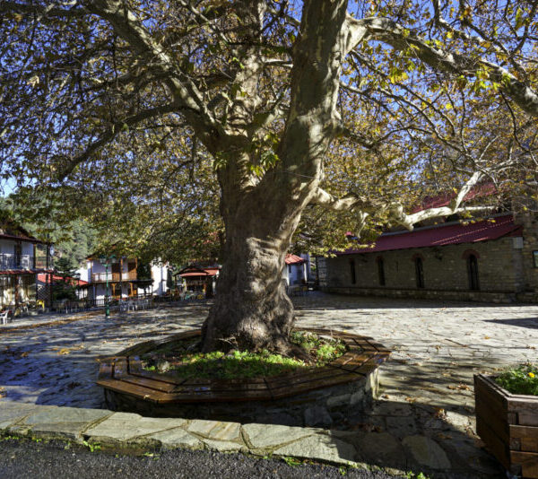 Διαδρομές για το φθινόπωρο στην καρδιά της ηπειρωτικής Ελλάδας