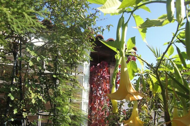 Οκτώβριος, εργασίες στον κήπο