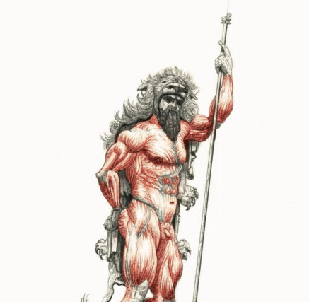 Μελέτη ανατομίας–Ηρακλής – Aπο τον Κωνσταντίνο  Φάη