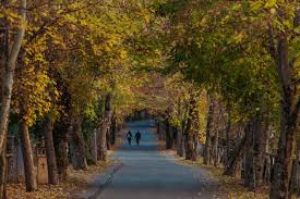 Απο τα σοκάκια του Ναυπλίου και τη μεσαιωνική Μονεμβασιά, μέχρι τα δάση της Αρκαδίας και την άγρια ομορφιά της Μάνης