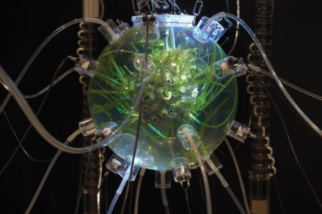 Τα πρωτοποριακά ρεύματα της Τέχνης… Απο τον Στελιο Ταντουρη