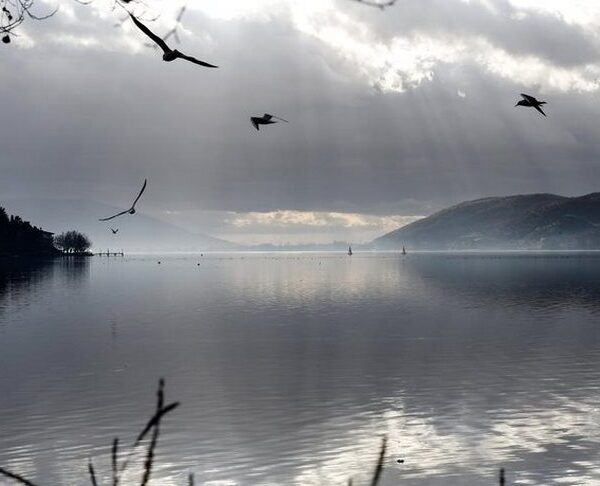 Μια κουταλιά αλάτι στην λίμνη …  Απο την  Βικτωρία Δικαιοπούλου