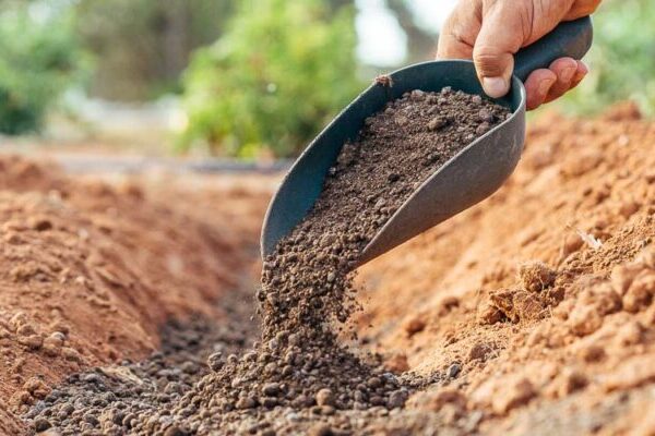 Νοέμβριος, εργασίες στον κήπο