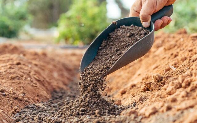 Νοέμβριος, εργασίες στον κήπο