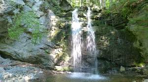 Η Καρδιά του Ουράνιου Δάσους – Tης Βικης Σιωμοπουλου