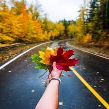 Πως κάνετε  restart  το Φθινόπωρο ;;;