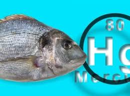 Δεν φταίνε μόνο τα ψάρια για την πρόσληψη υδραργύρου που απειλεί την υγεία …………