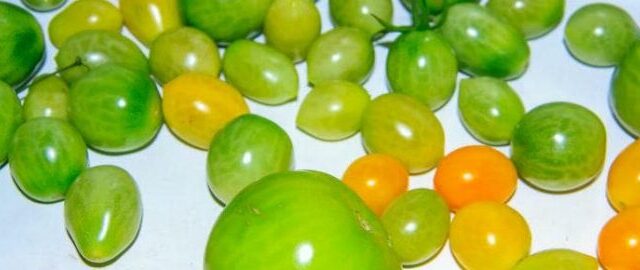 Για λαχανικά φρέσκα για εβδομάδες περισσότερο