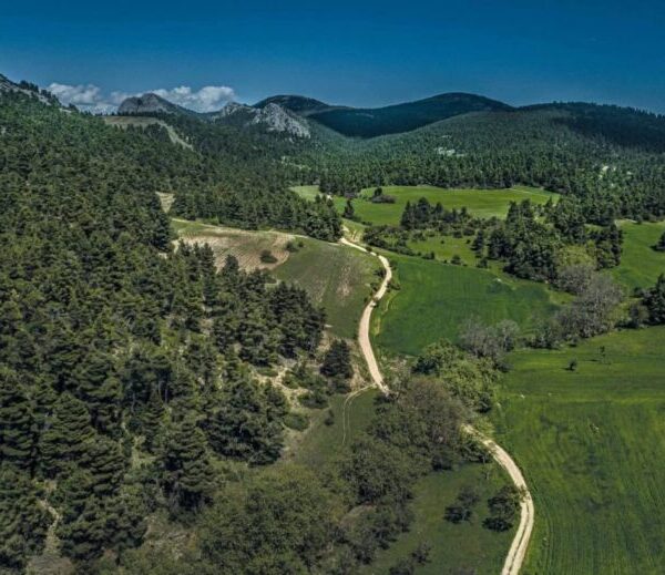 Πάρνηθα: Ετοιμάζονται να «φυτέψουν» 11 ανεμογεννήτριες τύπου «Siemens Gamesa»