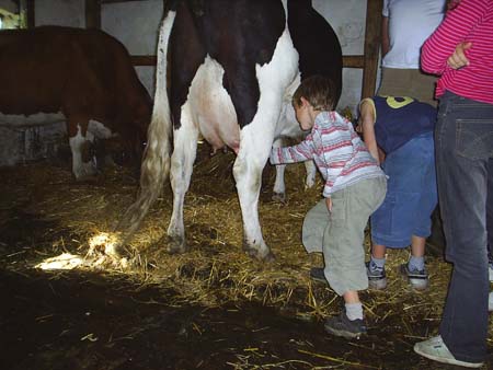 Η γιορτή της συγκομιδής στη Δανία