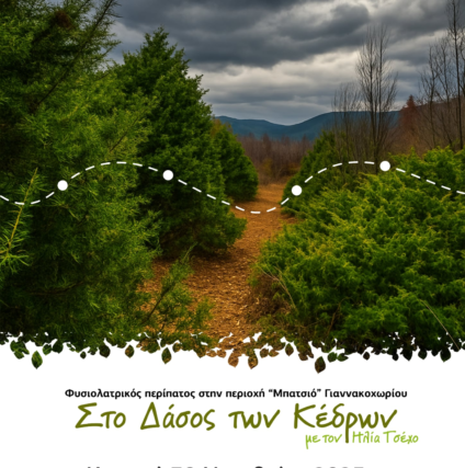 Στο Δάσος των Κέδρων, Γιαννακοχώρι Νάουσας – Aπο τον Ηλια Τσεχο