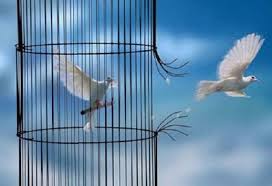 ΤΟ ΚΑΛΕΣΜΑ ΤΗΣ ΑΔΑΟΥΣ: ΣΚΕΨΕΙΣ ΓΙΑ ΤΗΝ ΕΛΕΥΘΕΡΙΑ – Απο την Λιλίκα Άρνακη