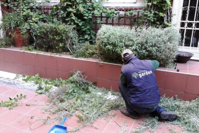 Εργασίες στον κήπο τον Δεκέμβριο.