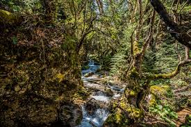 Παυλιανη : Θεματικό πάρκο Παύλιανη