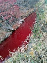 Δέκα δικτάτορες που τιμήθηκαν σαν εθνικοί ήρωες με εκατομμύρια νεκρούς ..