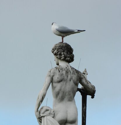 Περιηγήσεις : ΜΙΑ ΒΟΛΤΑ ΣΤΟ ΠΑΡΙΣΙ   ΚΗΠΟΣ ΤΟΥ ΛΟΥΞΕΜΒΟΥΡΓΟΥ – Του Μανου Κιλημαντζου