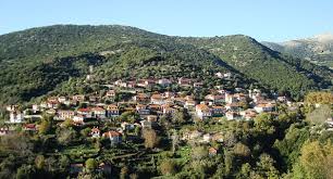 Η γραφική Κοντοβάζαινα