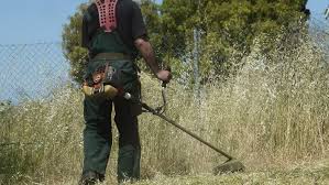 Νομοσχέδιο: τι αλλάζει στους καθαρισμούς οικοπέδων