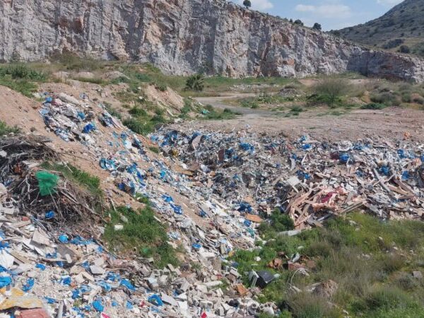 Συλλήψεις απο την ειδική Επιχειρησιακή Ομάδα Δράσης της  Γ.Α.Δ.Α στην Σαλαμινα